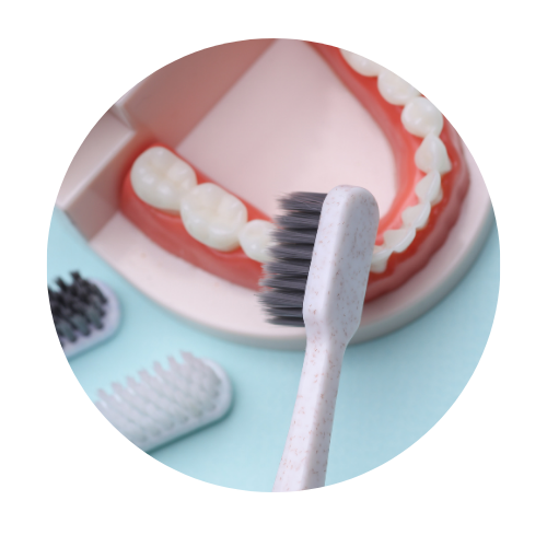 Oral Care
